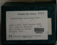Image Associated With the Occurence